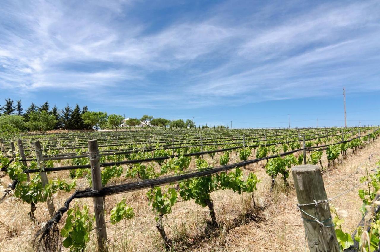 Casas Na Vinha - Monte Da Casteleja, Wine Estate - Eco Turismo Rural لاغوس المظهر الخارجي الصورة