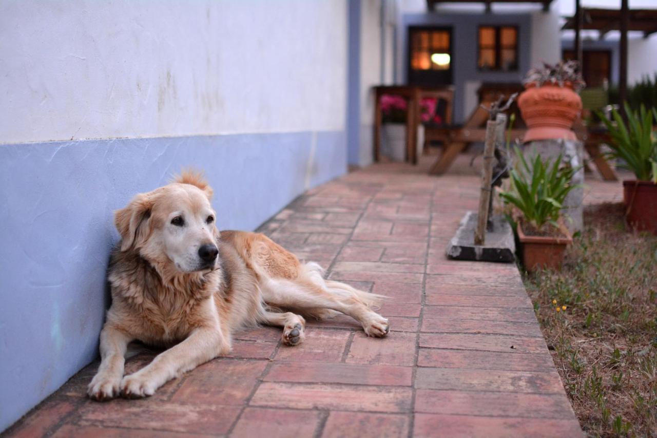 Casas Na Vinha - Monte Da Casteleja, Wine Estate - Eco Turismo Rural لاغوس المظهر الخارجي الصورة