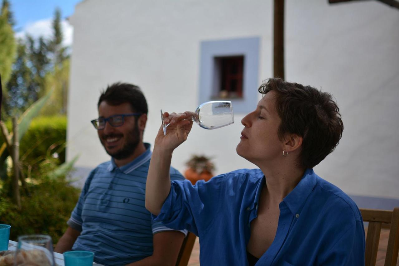 Casas Na Vinha - Monte Da Casteleja, Wine Estate - Eco Turismo Rural لاغوس المظهر الخارجي الصورة