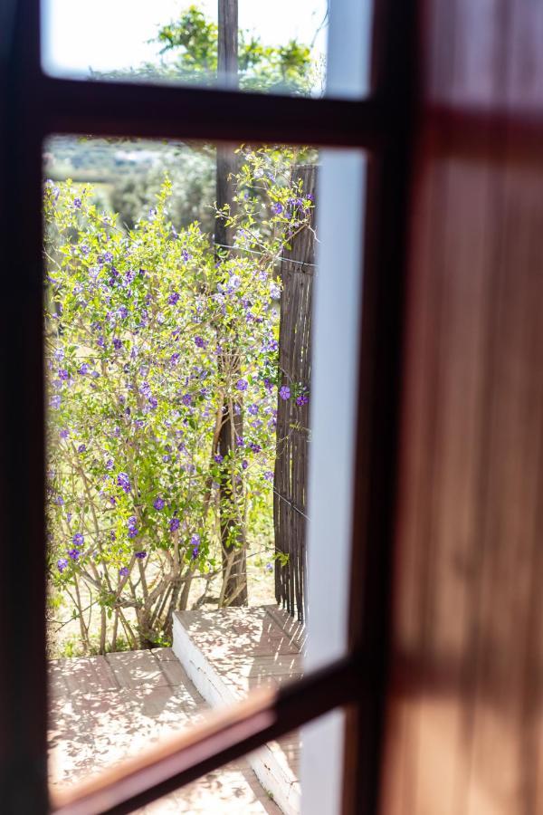 Casas Na Vinha - Monte Da Casteleja, Wine Estate - Eco Turismo Rural لاغوس المظهر الخارجي الصورة