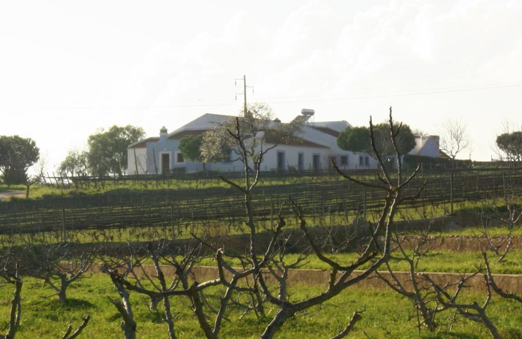 Casas Na Vinha - Monte Da Casteleja, Wine Estate - Eco Turismo Rural لاغوس المظهر الخارجي الصورة