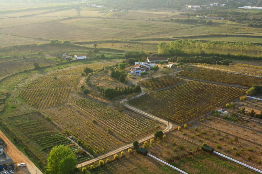 Casas Na Vinha - Monte Da Casteleja, Wine Estate - Eco Turismo Rural لاغوس المظهر الخارجي الصورة